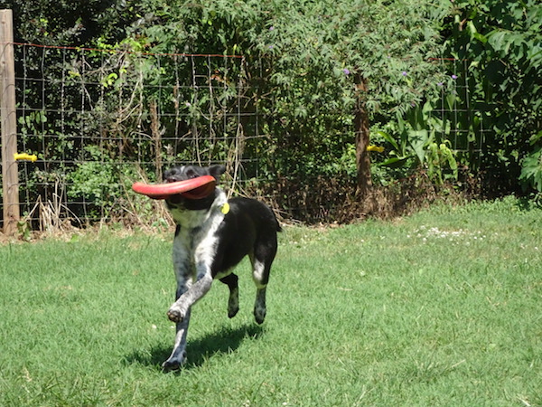 Maya photo 5