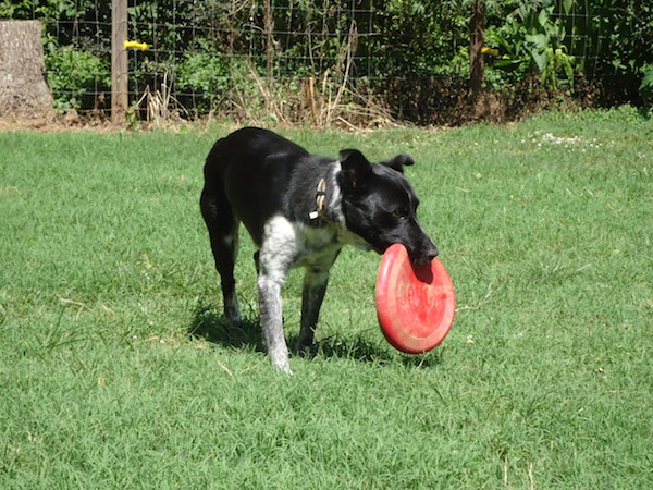 Maya photo 7
