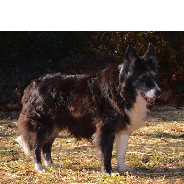 Molly photo 2