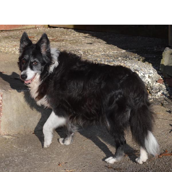 Molly photo 5