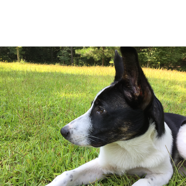 Murphy photo 2