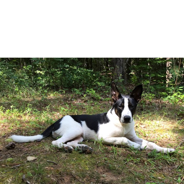 Murphy photo 6