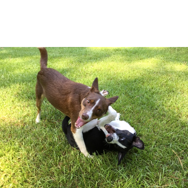 Murphy photo 7