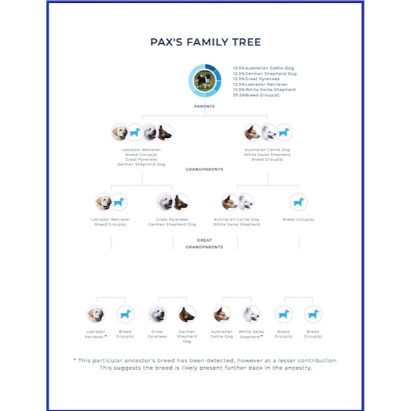 PAX Family Tree