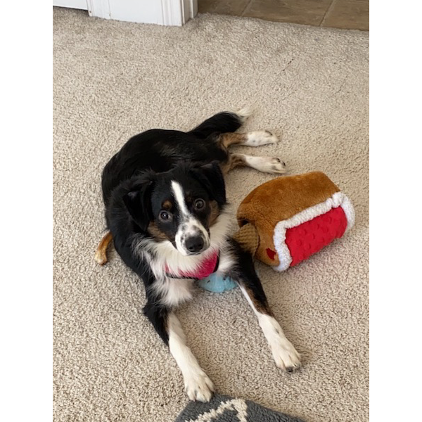 Rosie photo 3