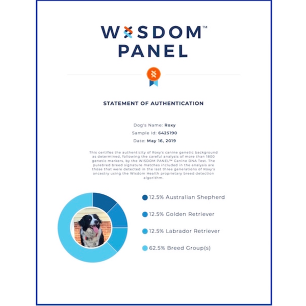 Roxy Wisdom Health Certificate