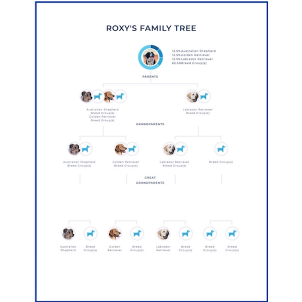 Roxy Wisdom Health Certificate