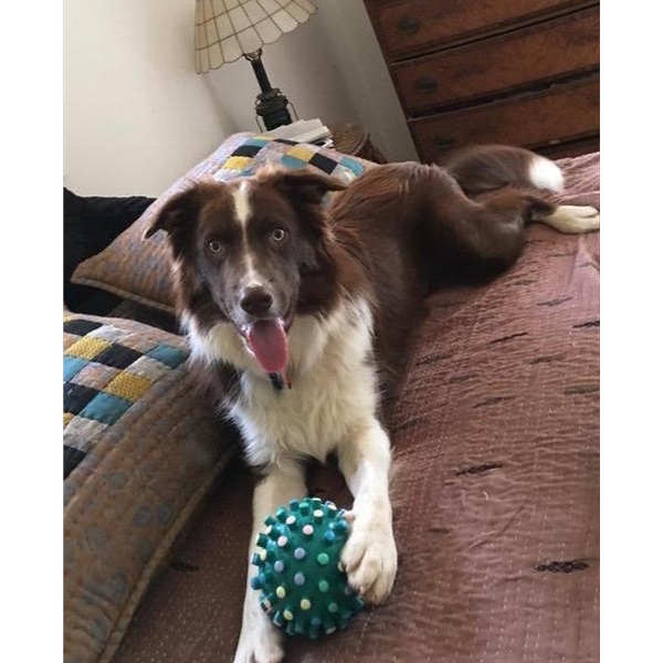 Ryleigh on the bed