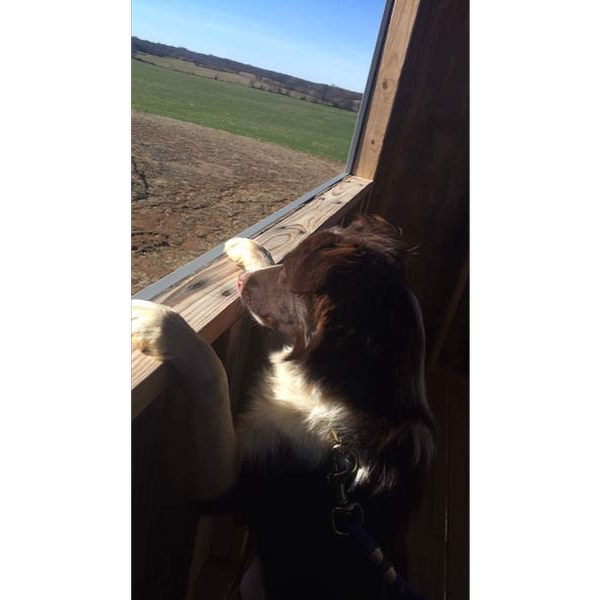 Ryleigh looking out window