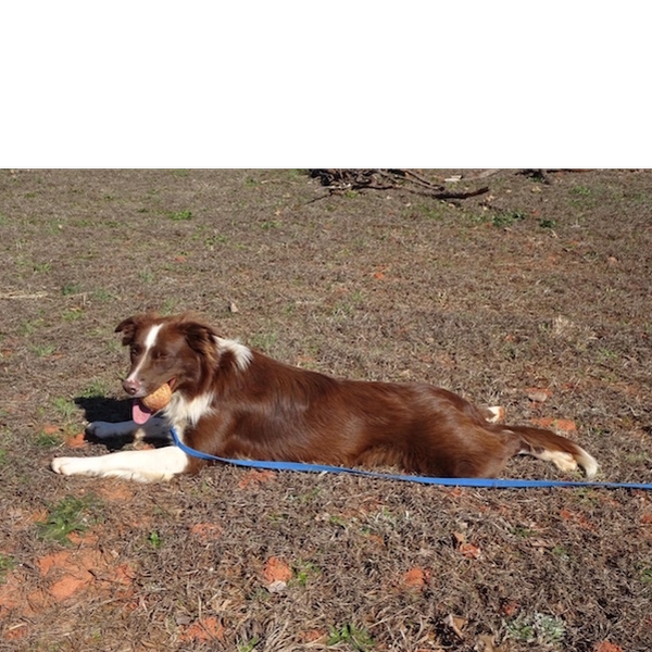 Ryleigh photo 5