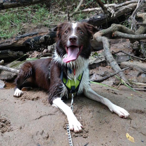 Ryleigh all wet