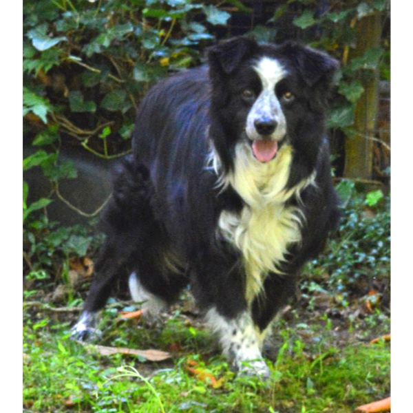 Sammy photo 2