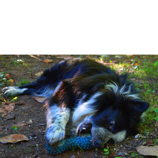 Sammy photo 3