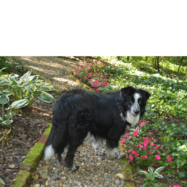Sammy photo 4