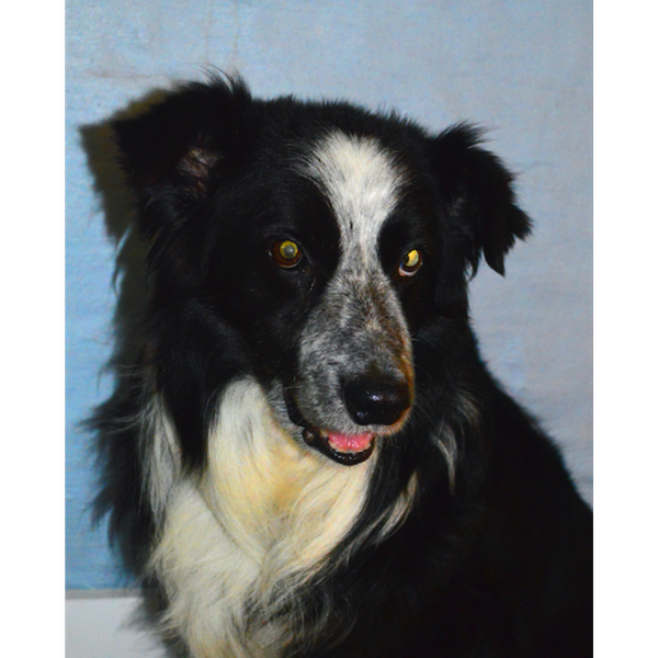 Sammy photo 5