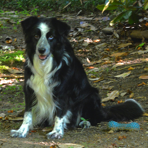 Sammy photo 6