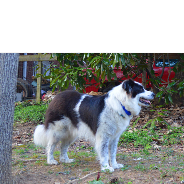 Sampson p3