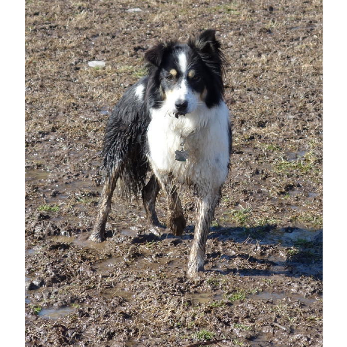 Sweep all muddy