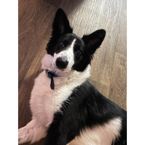Timmy photo 3