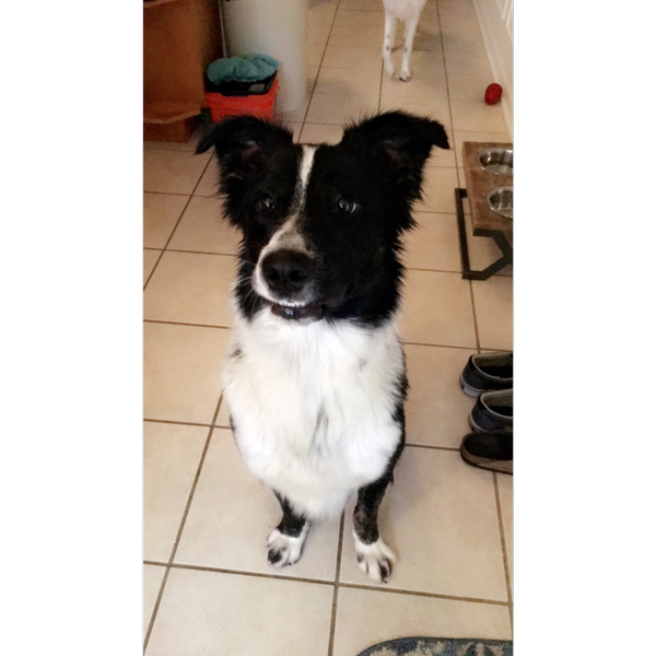 Tobie photo 2