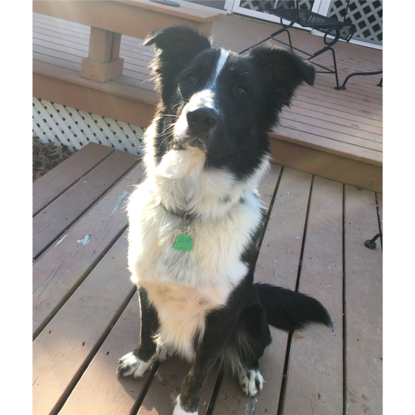 Tobie photo 3