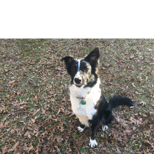 Tobie photo 4