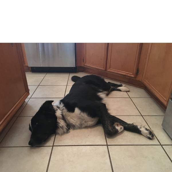 Tobie photo 5