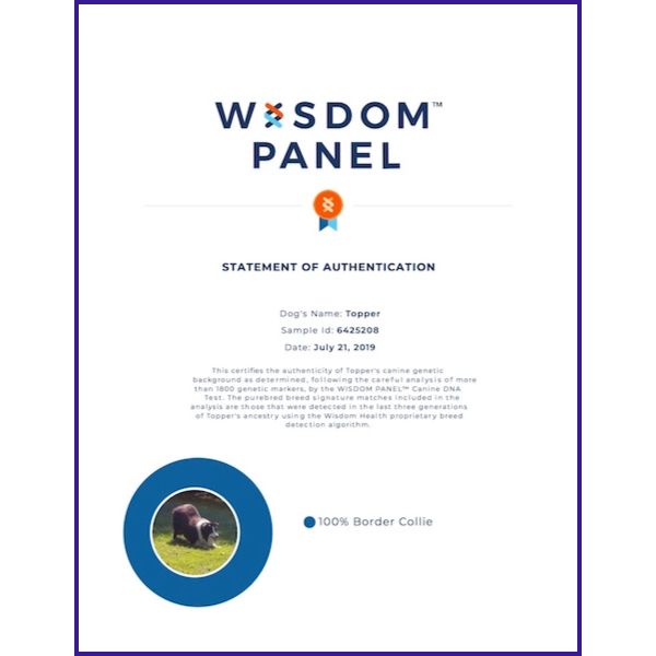 Topper Wisdom Health Certificate