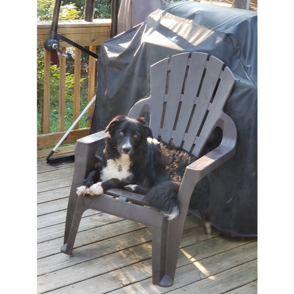 Zeke photo 2