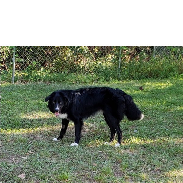 Zeke photo 3