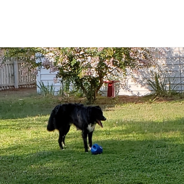 Zeke photo 4