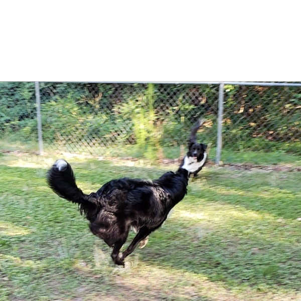 Zeke photo 5