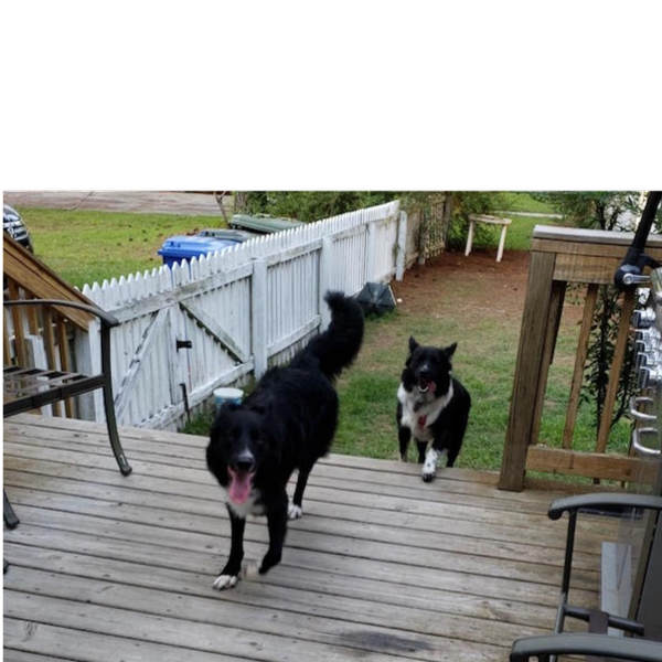 Zeke photo 6