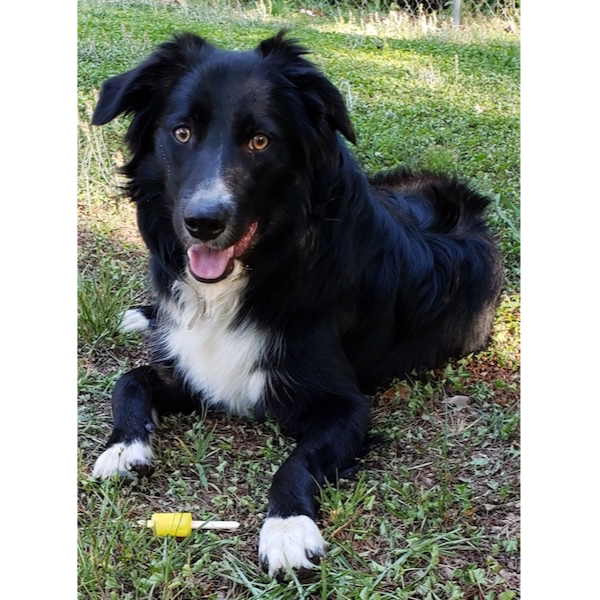 Zeke photo 9